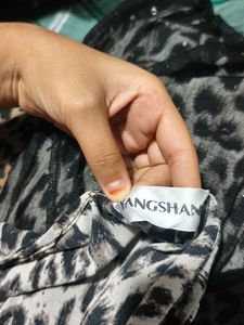 Leopard Print Sheer Overlay Dress