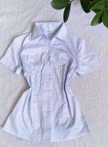 Classic strip Light Blue Short Sleeve Shirt