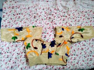 Unused Blouse