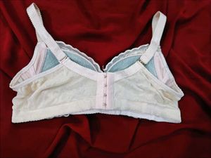 🇳🇿💫🎀Lace Trimmed Padded Bra
