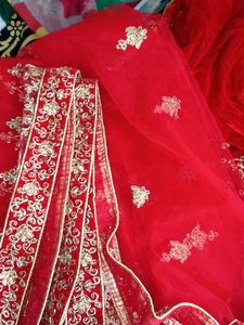 Exquisite Red Velvet Lehenga Choli