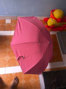 umbrella pink beautiful