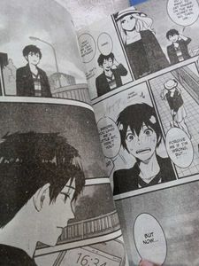 Your Name. Manga Set
