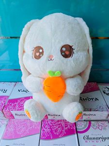 Big size bunny holding carrot plushie