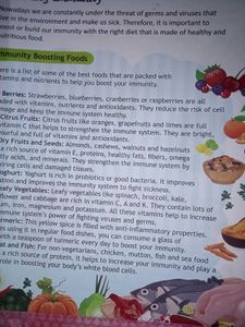 Rise Up Series GK Book for class 4