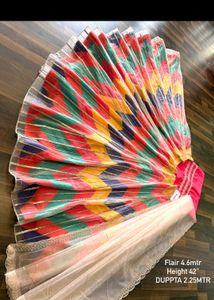 Vibrant Chevron Print Lehenga Choli