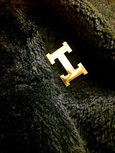Hermes Logo Gold Belt Buckle