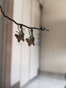 Cute Butterfly Earrings
