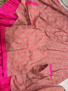 Pink Embroidered Lehenga Skirt