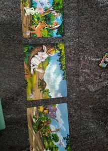 Hare &amp; Tortoise story puzzle