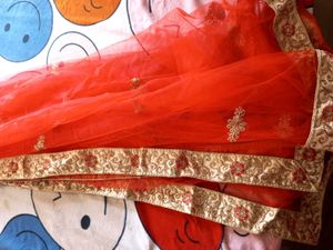 Embroidered Lehenga Skirt