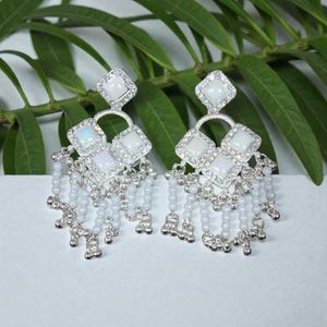 Elegant Silver-Tone Dangle Earrings