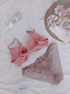 Lace Trimmed Pink Bra and Panty Set