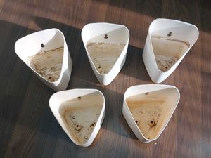 Wall Planters (Set of 5)
