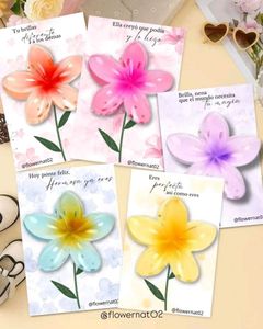 beautiful claw clips (set of 6) best for gifting