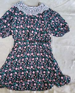 Floral Lace Collar Mini Dress