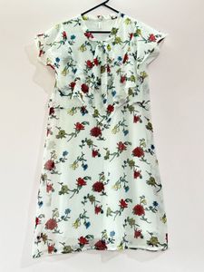 Floral Print Sheer Dress