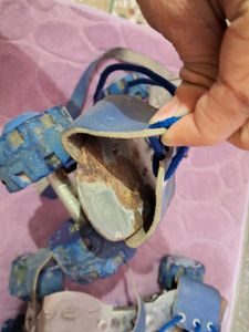 Pair of skates for kids