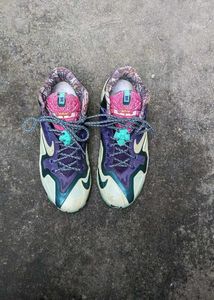 Nike Lebron Sneakers