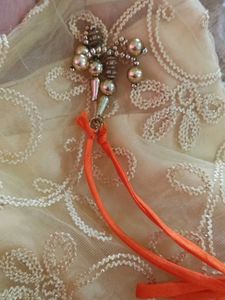 long netted gown