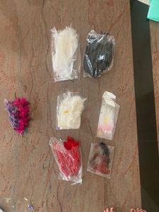 Assorted Feathers for Crafts & Decor