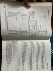 Inderbir Singh's Textbook of Human Histology