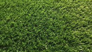Green Mat Not Used Good Quality