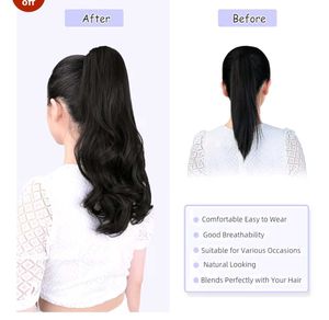 Black Claw Clip Ponytail Extension