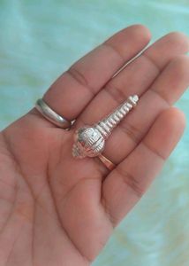 Pure Silver Hanumanji Ka Gota
