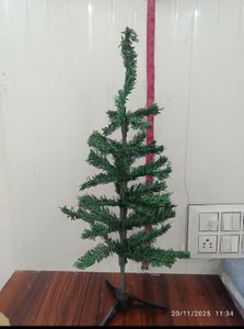Cristmas Tree Without Decoration