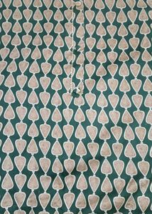 Elegant Green Pashmina suit set Fabric
