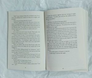 The Intruder by Freida McFadden