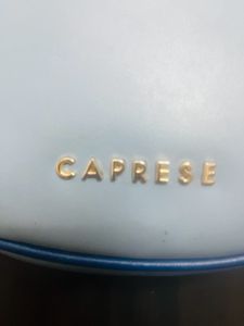 Caprese Light Blue Hobo Bag