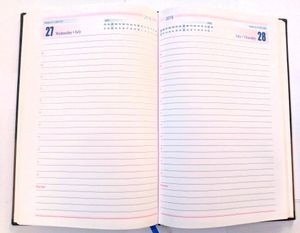 365 Pages Dairy