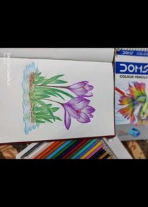 Floral Sketch (Drawing/Painting)