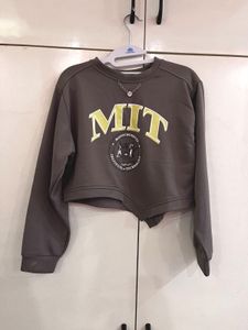 MIT Crop Sweatshirt