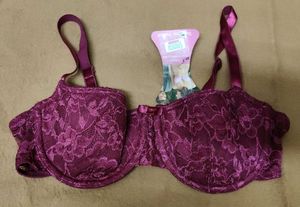 Elegant Lace Bra - Plum Color