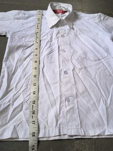 Classic White Short Sleeve Shirt