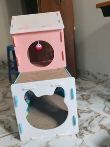 cat house