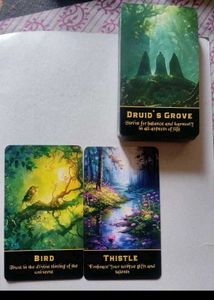✨Enchanted Forest Oracle Cards Deck &amp; Tarot