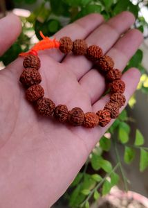 Panchmukhi Rudraksha Bracelet