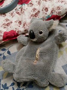 Cute Koala Tissue box cover