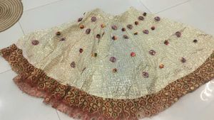 beautiful ocational lehnga flgarba dress