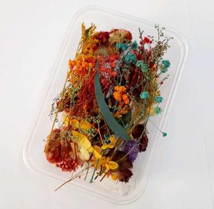 Dry Flower Box