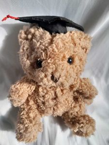 Graduation Teddy Bear Gift