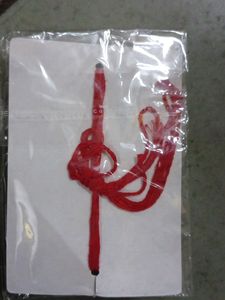 Rakhi