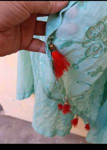 bust 42 Stunning Blue Ethnic Gown