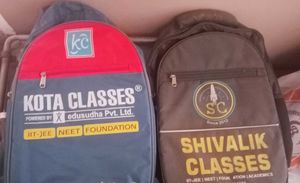 2 bag Backpack