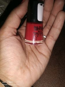 Nail Paint For Women's 💅🏻