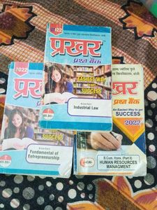 Prakhar Question Paper B. Com Part 2